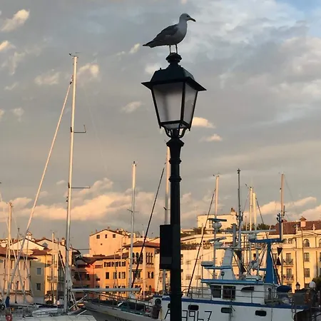 Citta Di Trieste 그라도